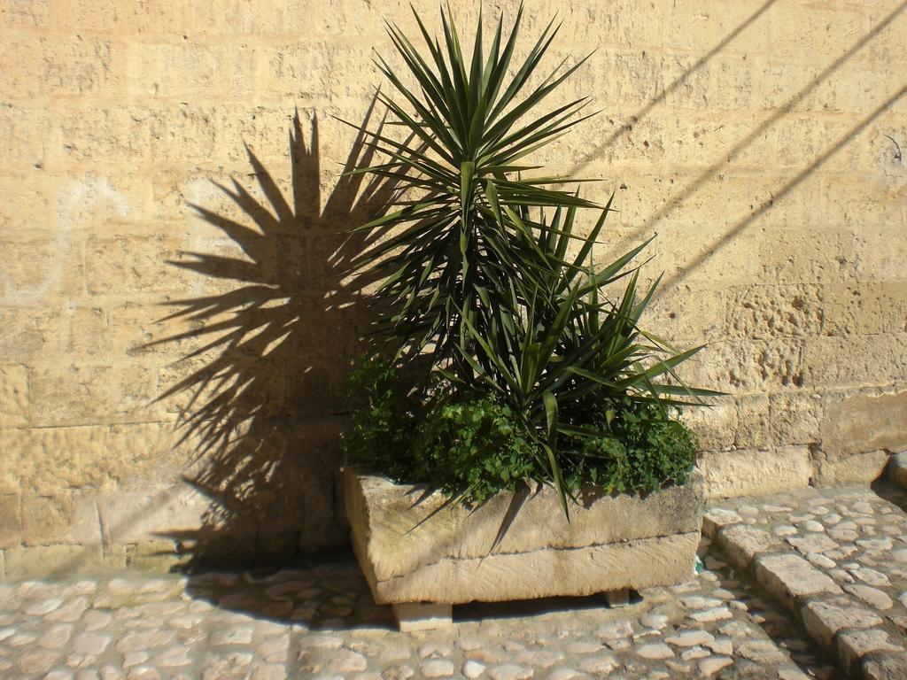 Casa Vacanza "Nel Cuore Dei Sassi" Apartments Matera Buitenkant foto